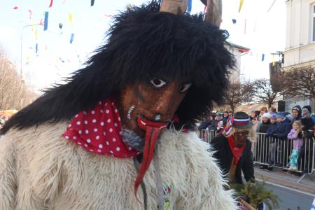 PUSTNI KARNEVAL PUSTOLETJE 22 FOTO LJUBO VUKELIČ